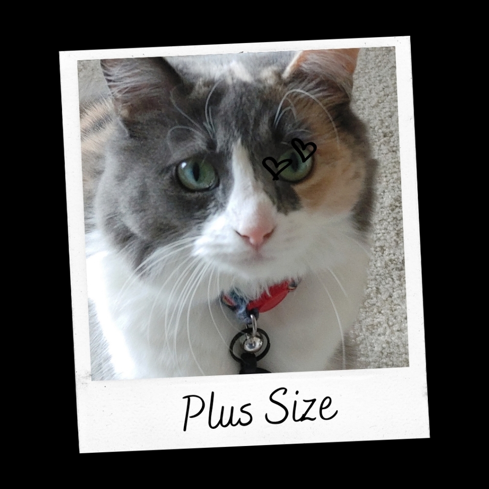 Plus Size